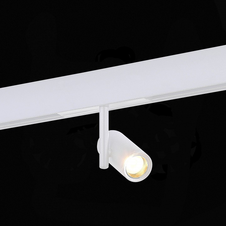 Светильник на штанге st-luce st808 st808.536.08