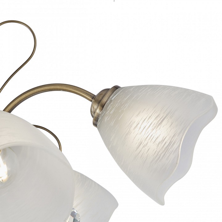 Подвесная люстра arte milano amalfi-2656 335656/5 ab