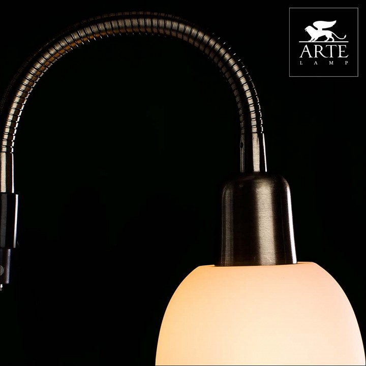 Торшер с подсветкой arte lamp duetto a9569pn-2ab