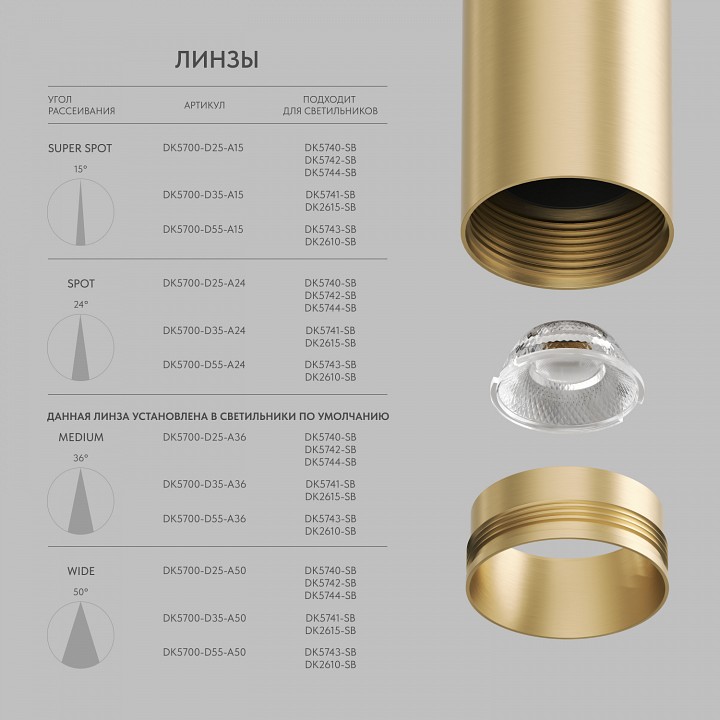 Светильник на штанге denkirs shine spot dk5742-sb
