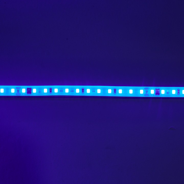 Лента светодиодная eleganz  el-220b