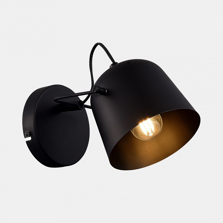 Бра evoluce blank sle1805-401-01