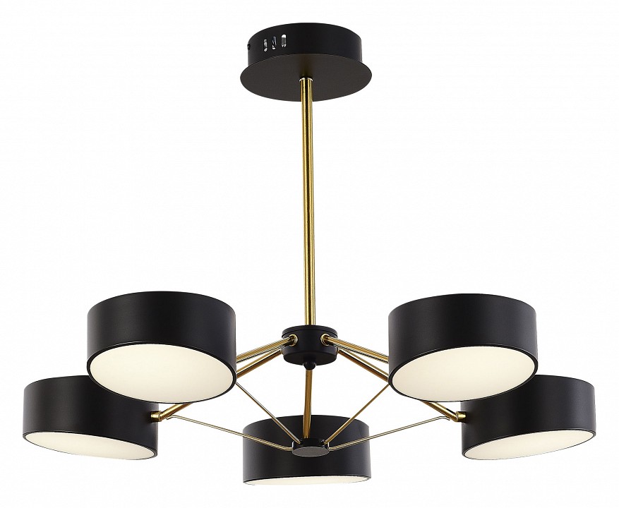 Люстра на штанге evoluce valle sle6005-402-05
