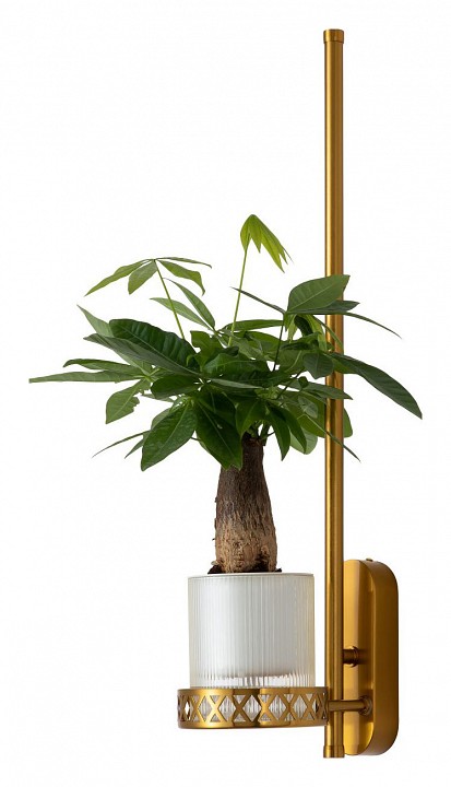 Бра favourite greenery 4050-1w