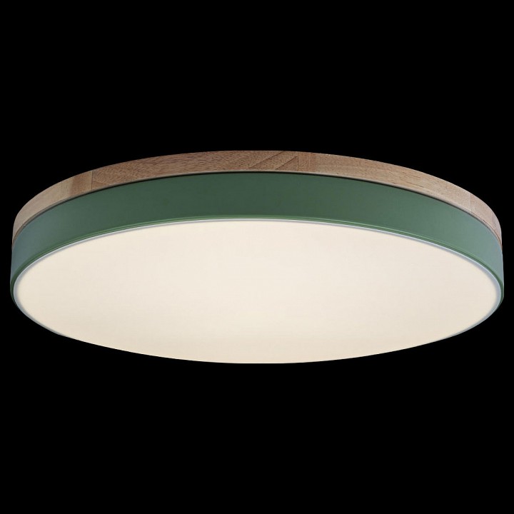 Накладной светильник loft it axel 10001/36 green