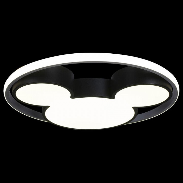 Накладной светильник loft it mike 10165