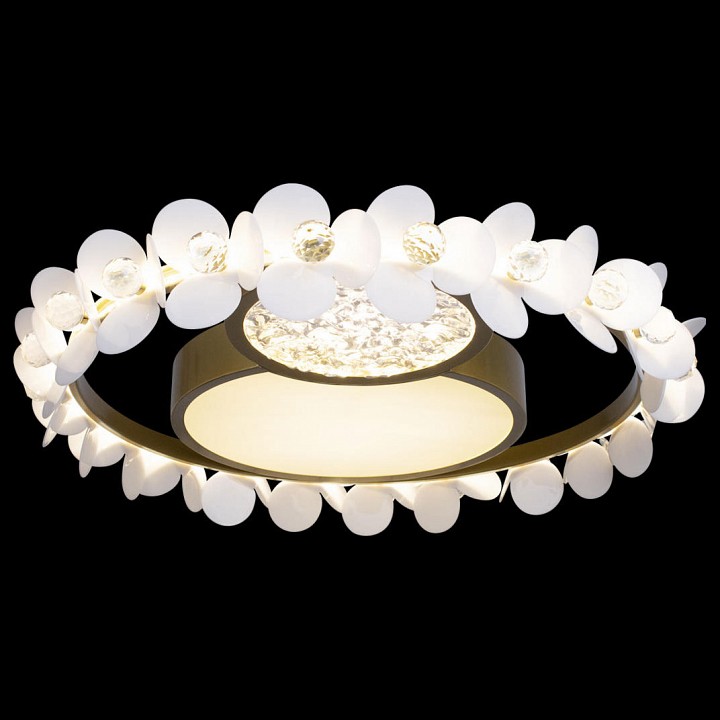 Накладной светильник loft it bride 10174