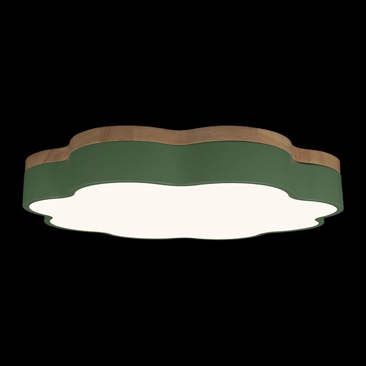Накладной светильник loft it axel 10225/36 green