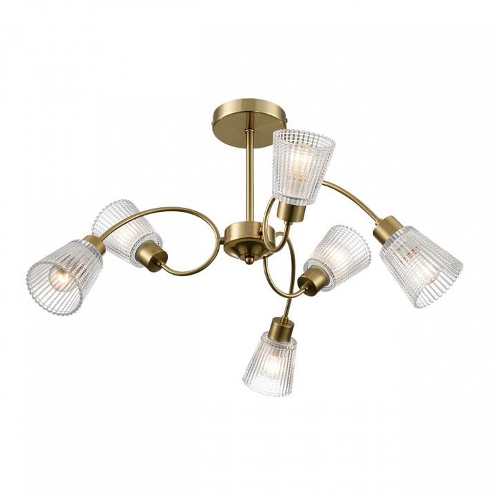 Люстра на штанге lumion imana 8154/6c