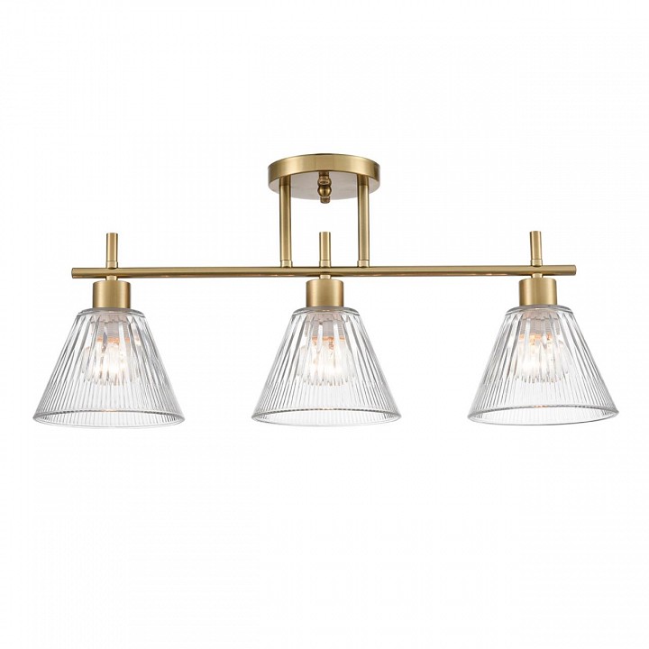 Светильник на штанге lumion vivian 8188/3c