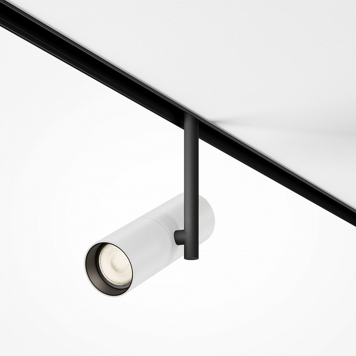 Светильник на штанге maytoni elti tr005-2-12w3k-bw