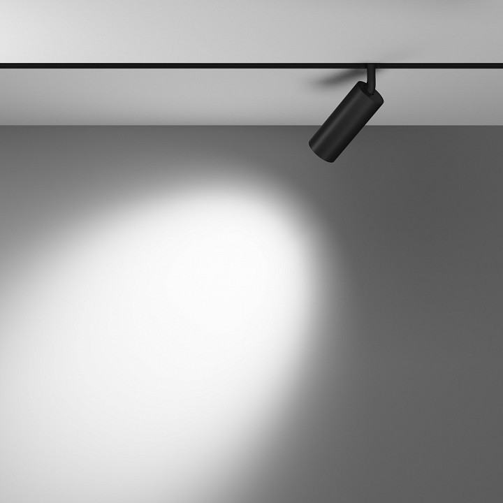 Светильник на штанге maytoni focus led tr032-2-12w4k-m-b
