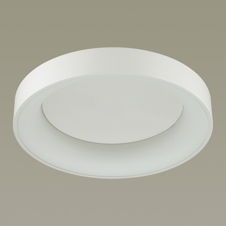 Накладной светильник odeon light sole 4062/50cl