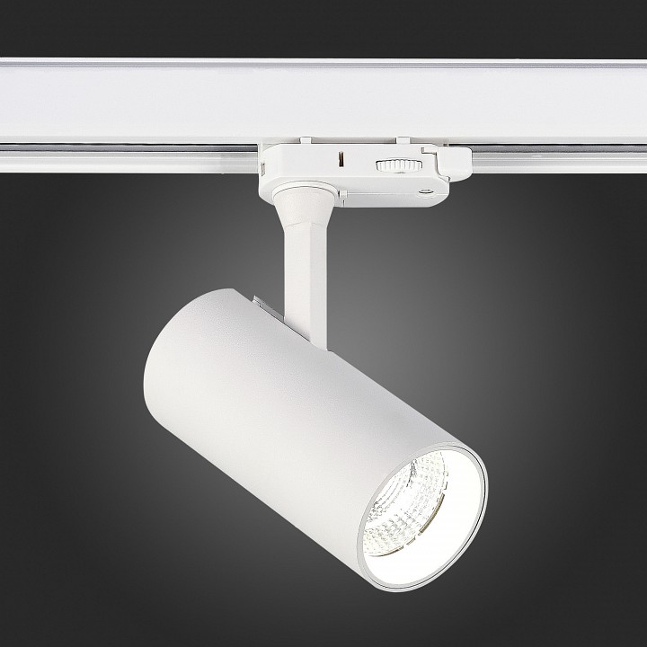 Светильник на штанге st-luce st661 st661.536.10
