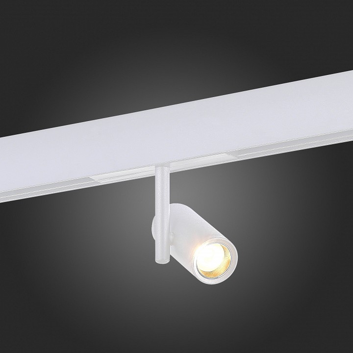 Светильник на штанге st-luce st808 st808.536.08