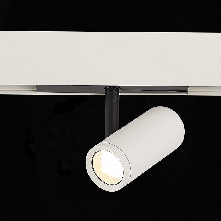Светильник на штанге st-luce st808 st808.546.08