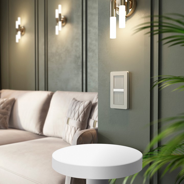 Выключатель двухклавишный с подсветкой без рамки werkel дымчатый w4523641