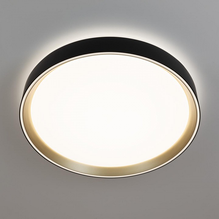 Накладной светильник citilux boss cl751351g
