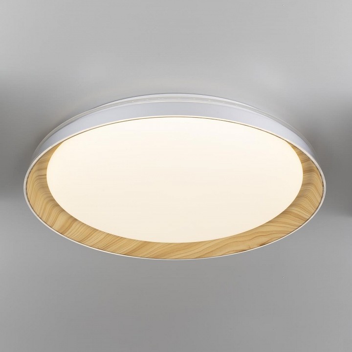 Накладной светильник citilux mega cl752452g