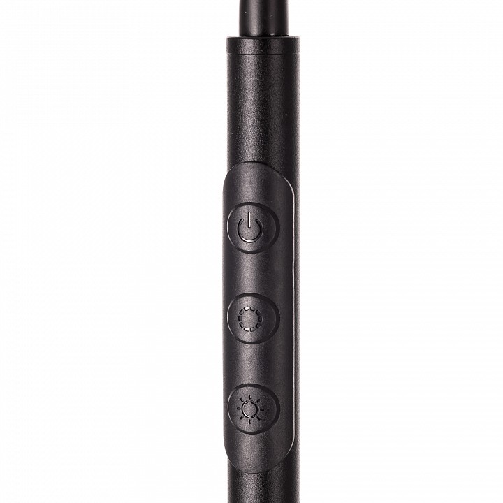 Торшер citilux alex cl804051