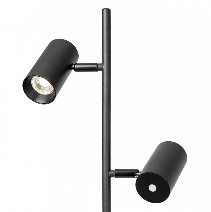 Торшер citilux twin cl809011n