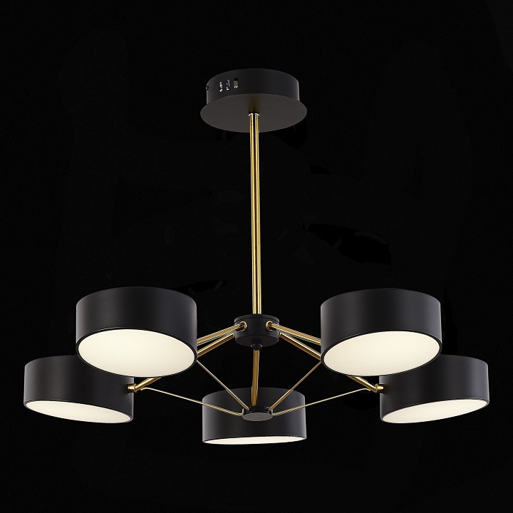 Люстра на штанге evoluce valle sle6005-402-05