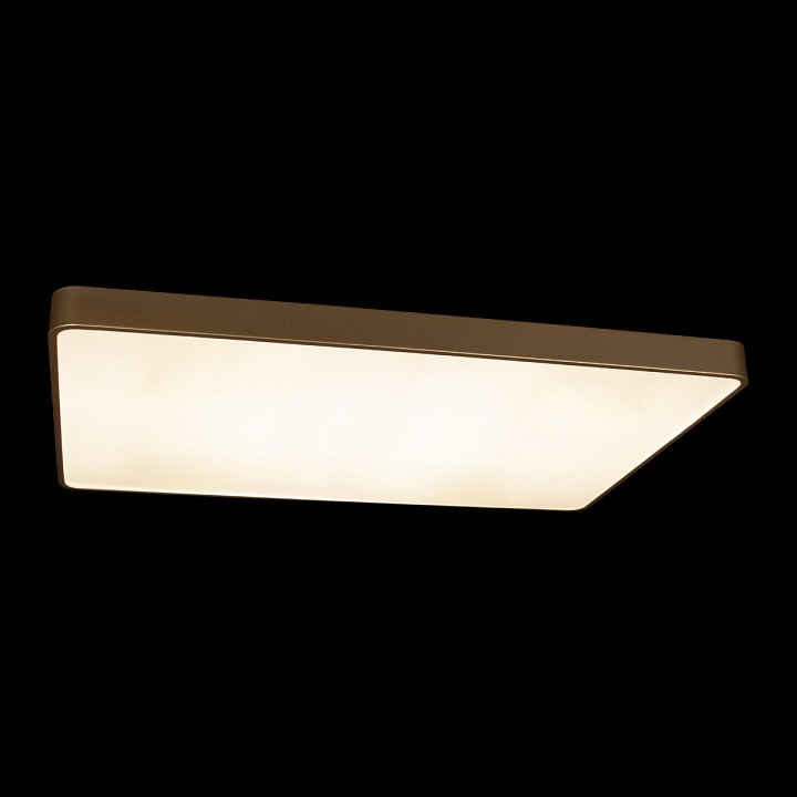 Накладной светильник loft it flims 10228/e