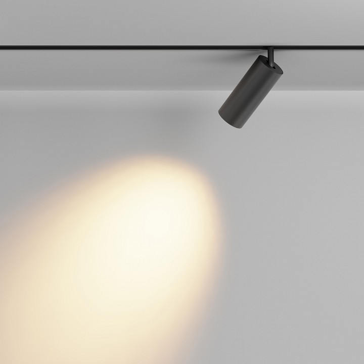 Светильник на штанге maytoni focus led tr032-2-20w2.7k-m-b