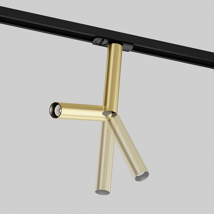 Светильник на штанге maytoni focus t tr142-1-6w4k-bs