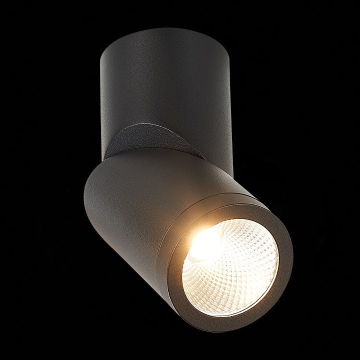 Светильник на штанге st-luce st650 st650.432.10