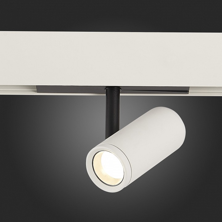 Светильник на штанге st-luce st808 st808.546.08