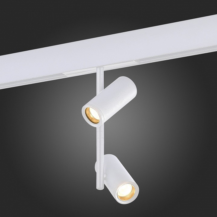 Светильник на штанге st-luce st808 st808.546.16