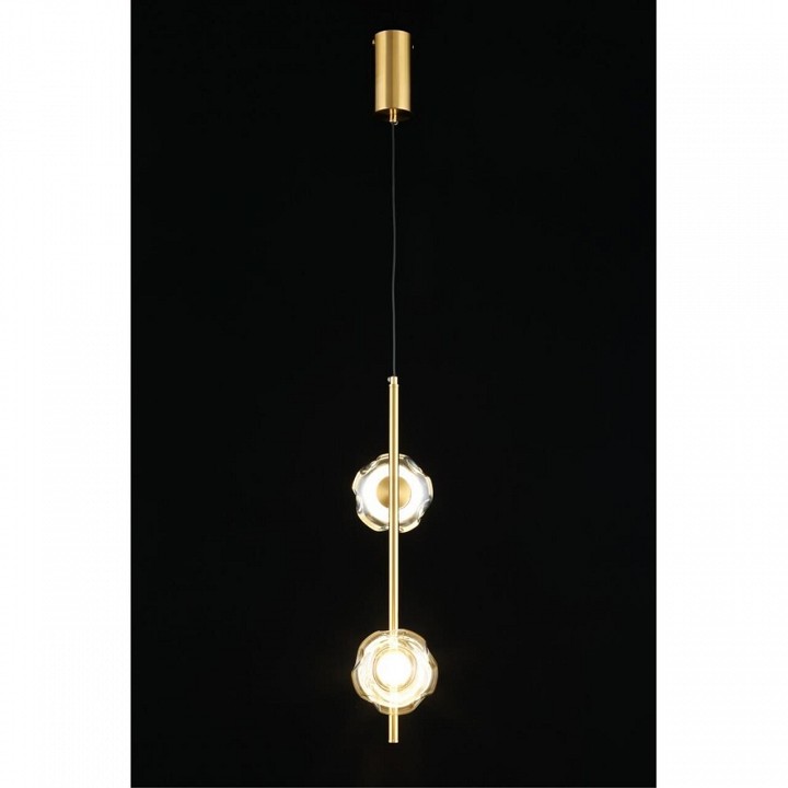 Подвесной светильник aployt tereze apl.074.06.02