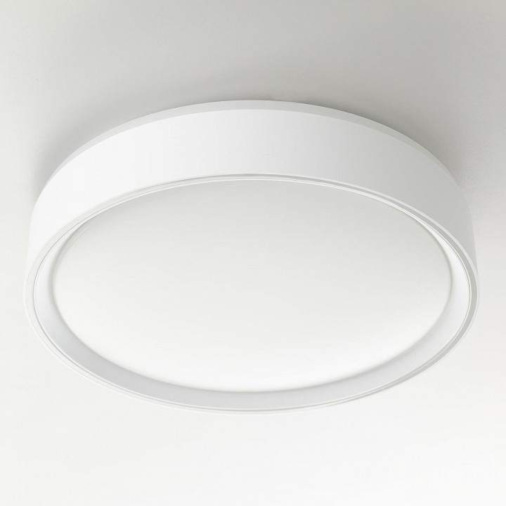 Накладной светильник citilux boss cl751250g