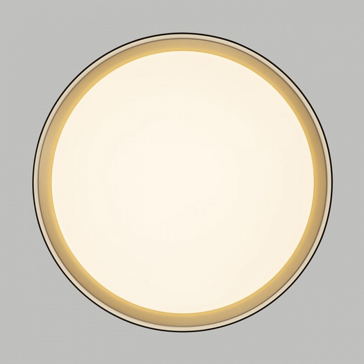 Накладной светильник citilux boss cl751351g