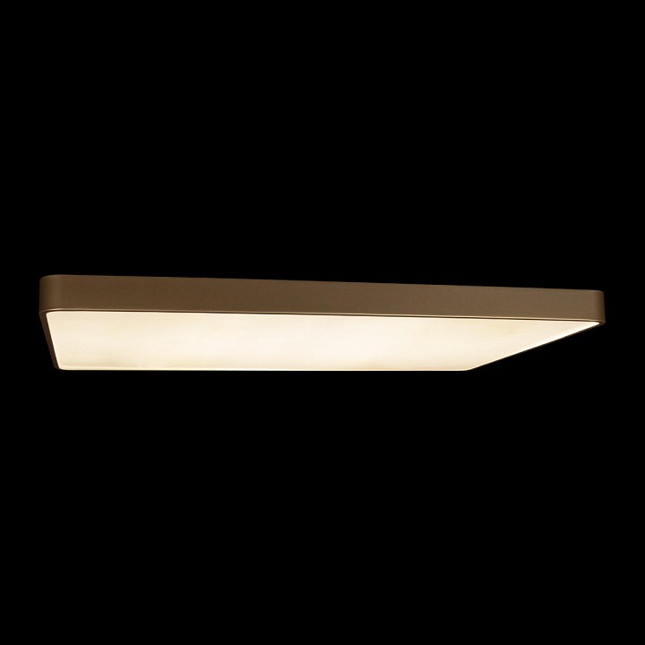 Накладной светильник loft it flims 10228/e