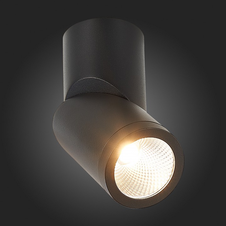 Светильник на штанге st-luce st650 st650.432.10