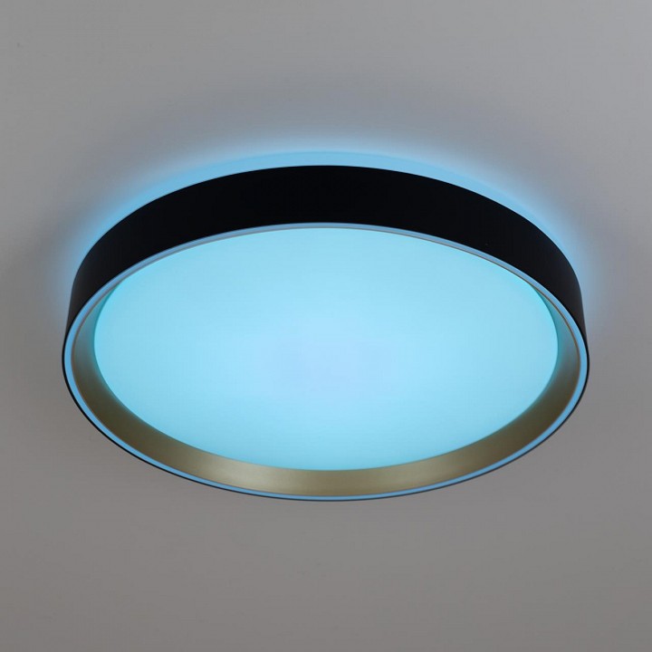 Накладной светильник citilux boss cl751351g
