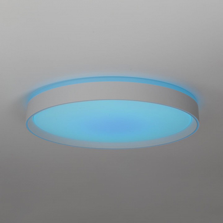 Накладной светильник citilux boss cl751450g