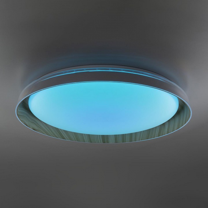 Накладной светильник citilux mega cl752452g