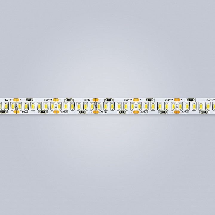 Лента светодиодная eleganz lux el-24v-24w