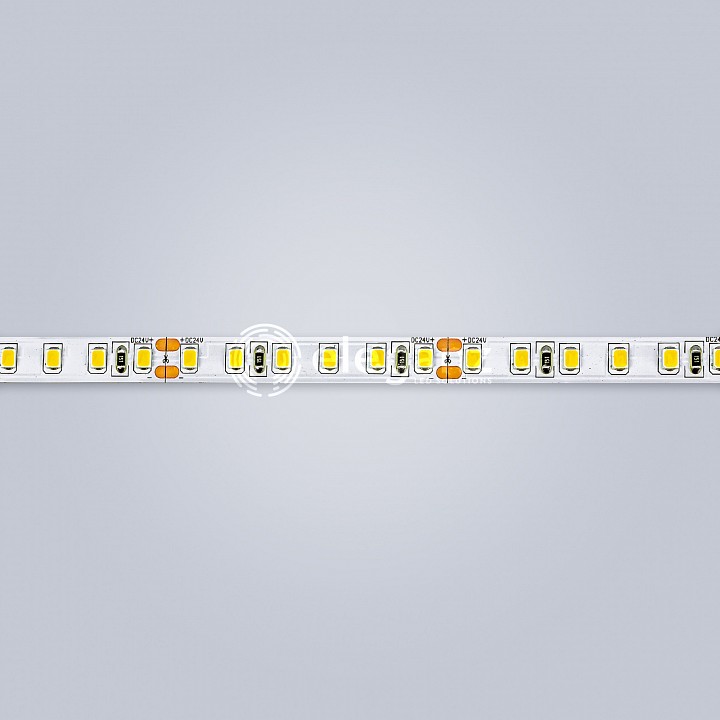 Лента светодиодная eleganz lux el-24v-96n