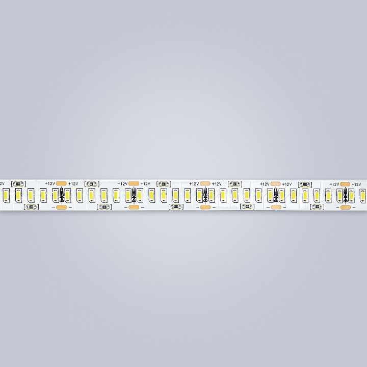 Лента светодиодная eleganz lux el-ls-24w