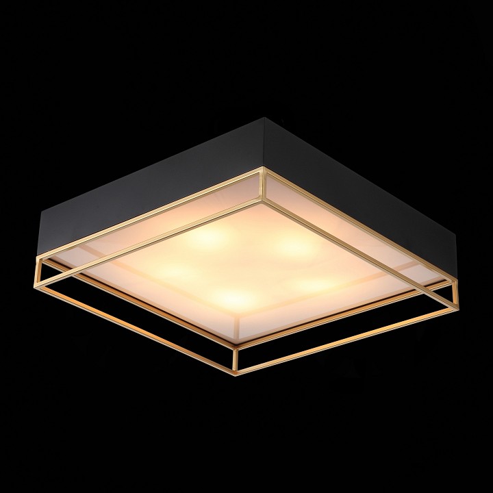 Накладной светильник st-luce chodo sl1127.422.05