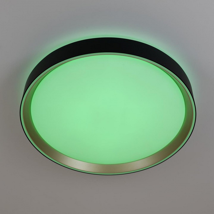 Накладной светильник citilux boss cl751351g