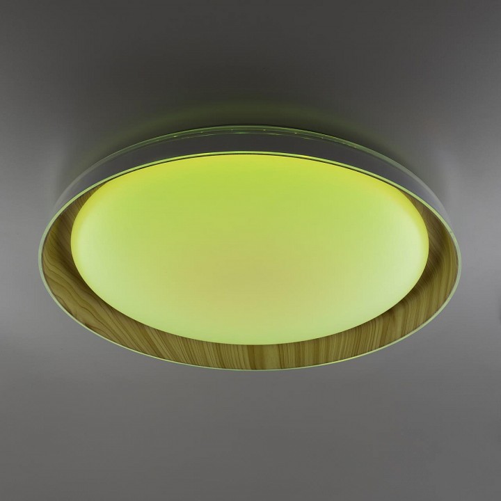 Накладной светильник citilux mega cl752452g