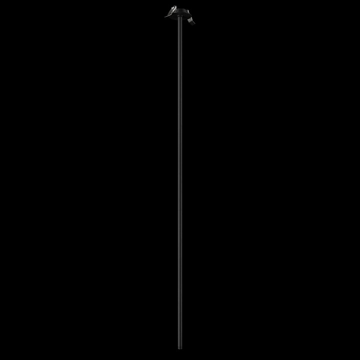 Встраиваемый светильник на штанге loft it cane 10359/1200 black