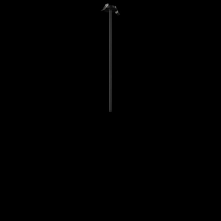 Встраиваемый светильник на штанге loft it cane 10359/600 black