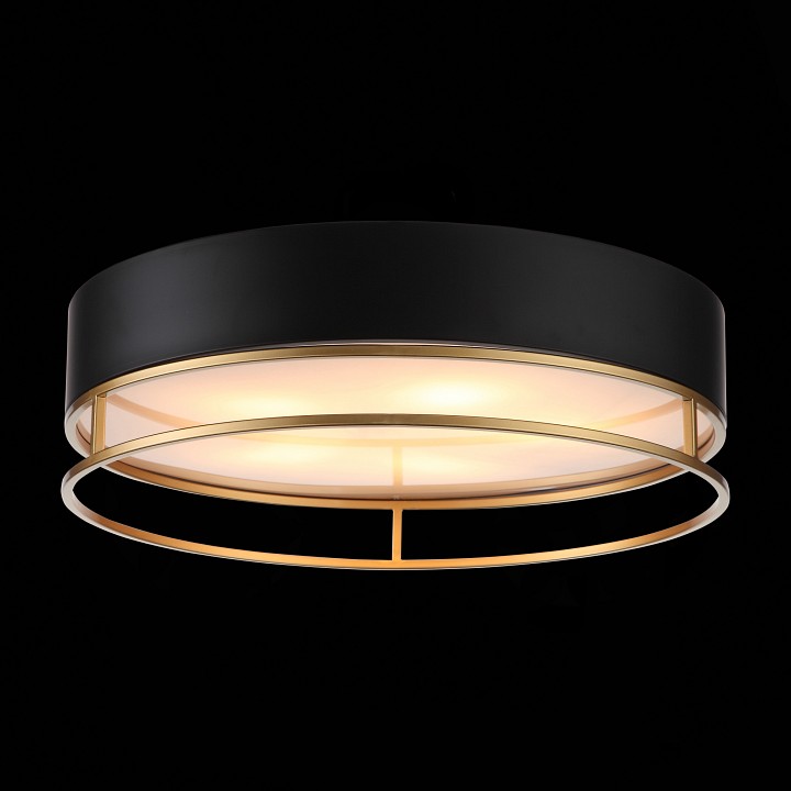 Накладной светильник st-luce chodo sl1127.432.05