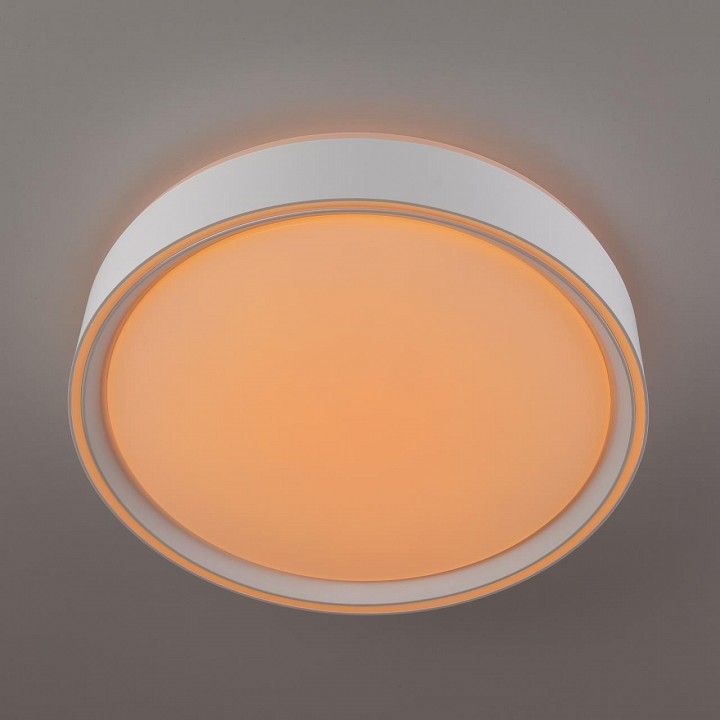 Накладной светильник citilux boss cl751250g